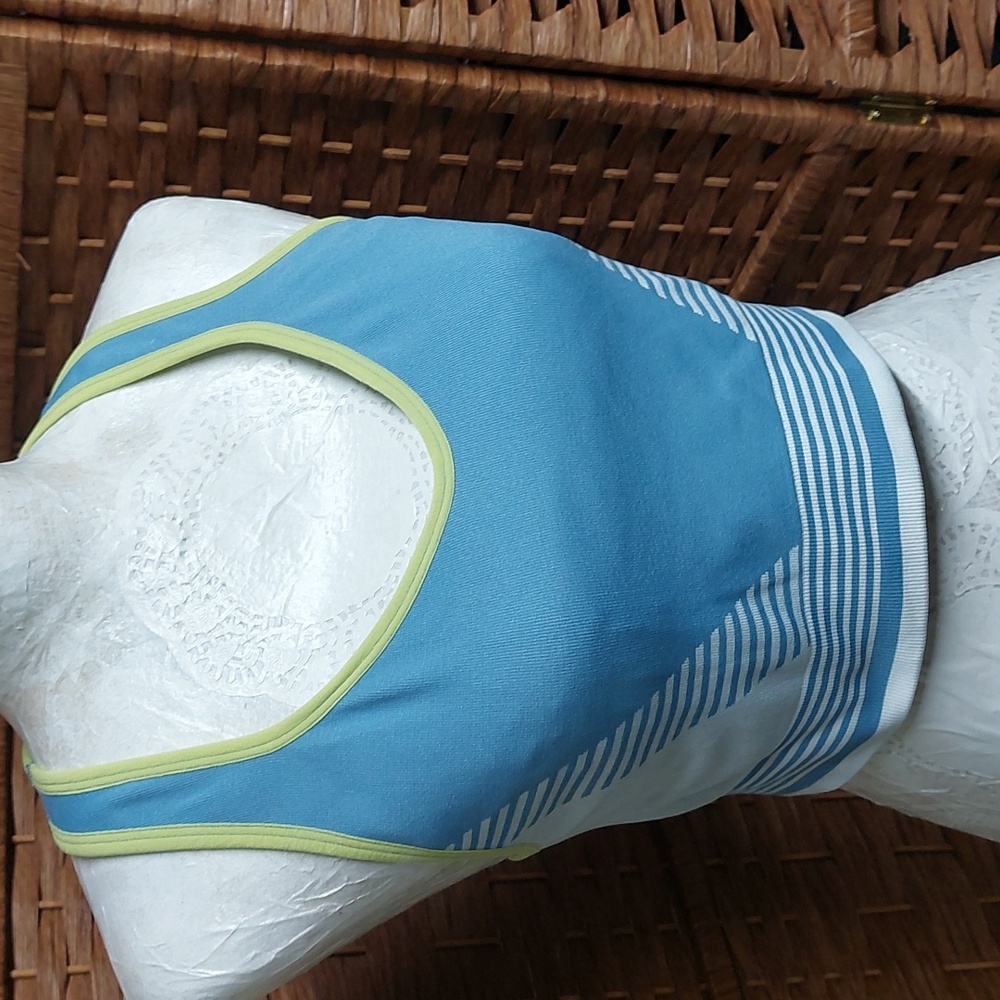 Members Mark XXL sports bra Blue and Green